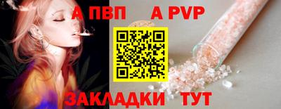 стаф Дубна