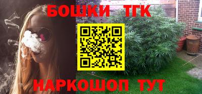 стаф Дубна