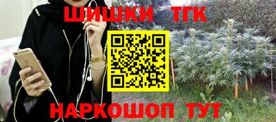 стаф Дубна