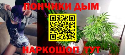 стаф Дубна