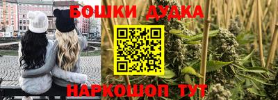 стаф Дубна