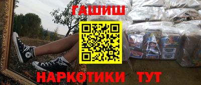 стаф Дубна