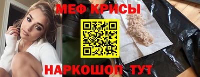 стаф Дубна
