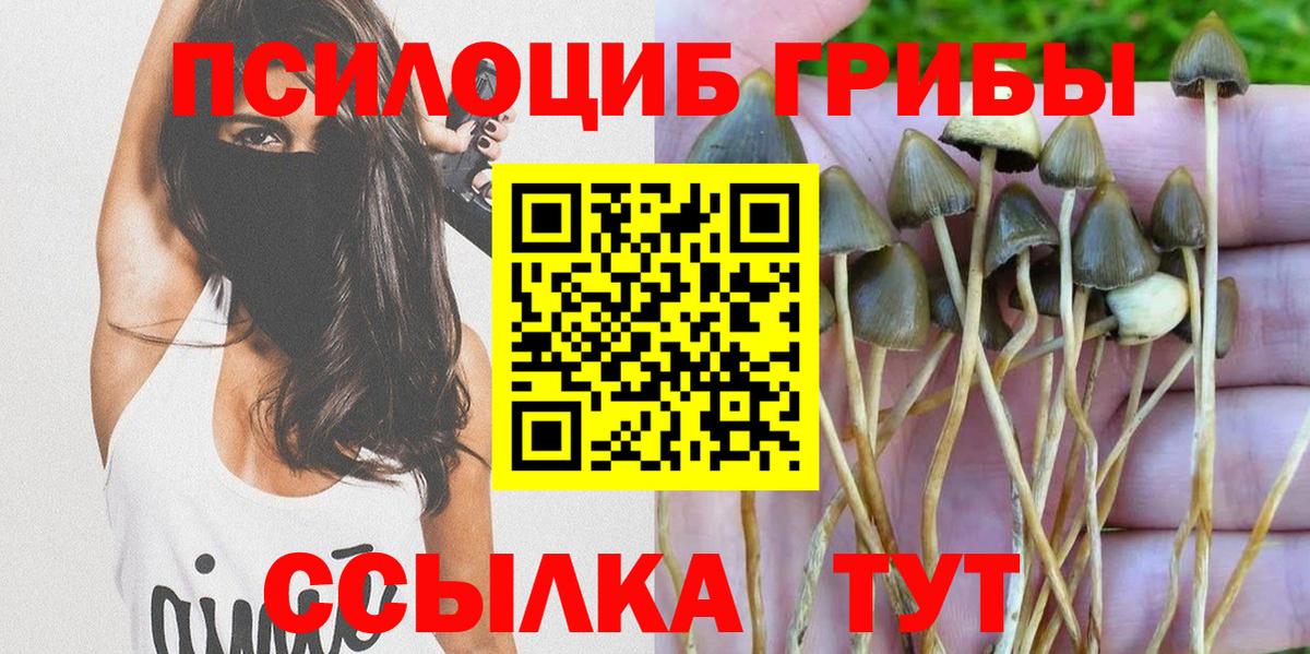 купить   Вход с VPN  Озёрск  Псилоцибиновые грибы прущие грибы 