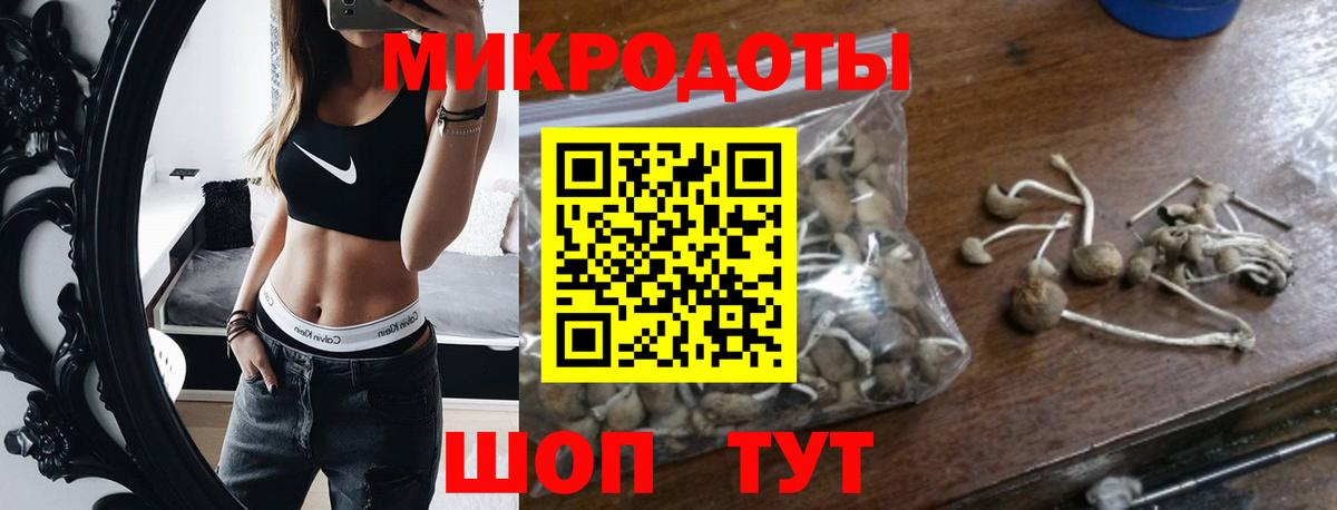 Галлюциногенные грибы GOLDEN TEACHER Озёрск